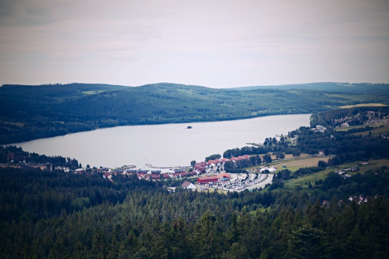 _DSC_2233
